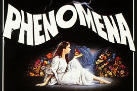 Image du film Phenomena