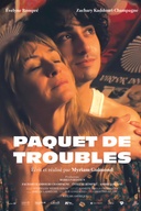 Affiche du film Paquet de troubles