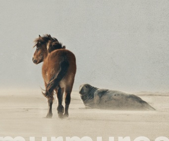 Image du film Murmures