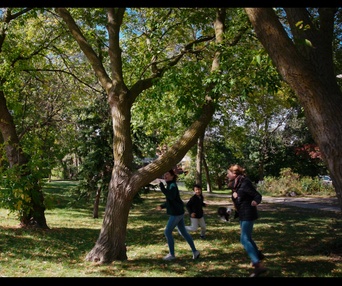 Images du film Forêts urbaines