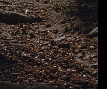 Image du film Chants de l'Est