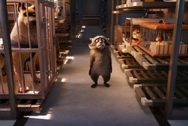 Image du film Le falcon express