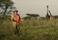 Les Africanimaux d'Arthur L'Aventurier