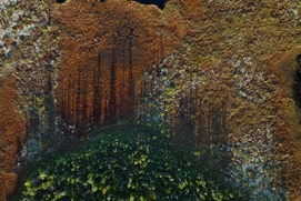 Image du film Nitassinan