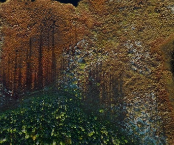 Image du film Nitassinan