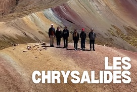 Image du film Les Chrysalides