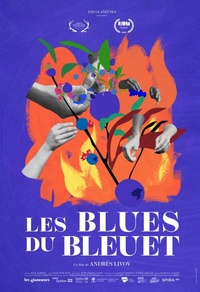 Les blues du bleuet