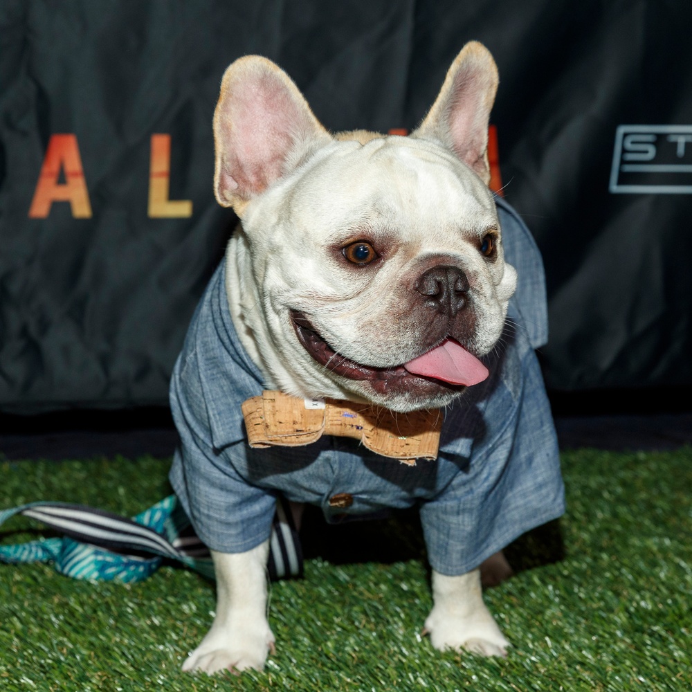Première du film Alpha à Los Angeles
