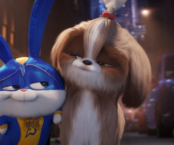 Une scène du film The Secret Life Of Pets 2