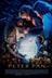 Affiche du film Peter Pan