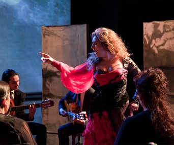 Une scène du film Flamenco Flamenco