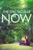 Affiche du film The Spectacular Now