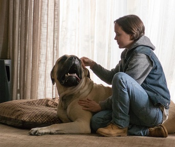 Une scène du film Freeheld