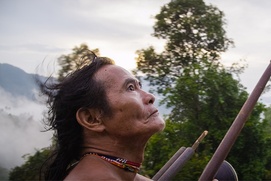 Une scène du film The Fruit Hunters