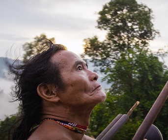 Une scène du film The Fruit Hunters