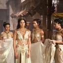 Photo de Lynn Collins