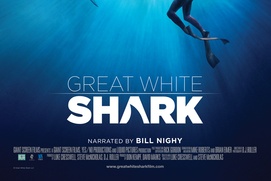 Affiche du film Great White Shark