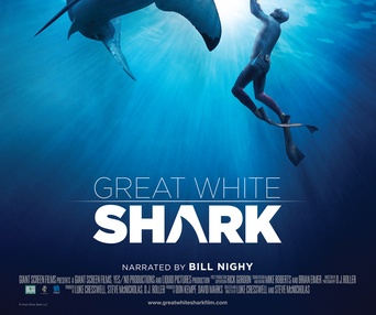 Affiche du film Great White Shark