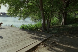 Une scène du film Song to Song