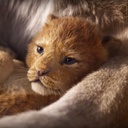 Une scène du film The Lion King