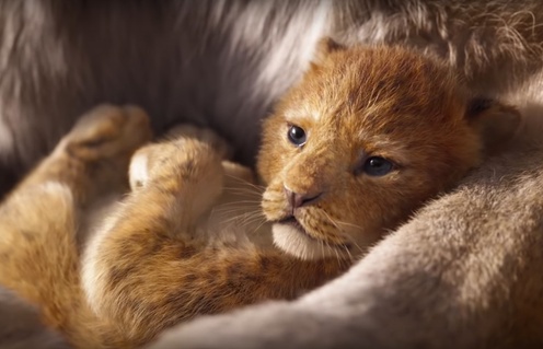 Une scène du film The Lion King