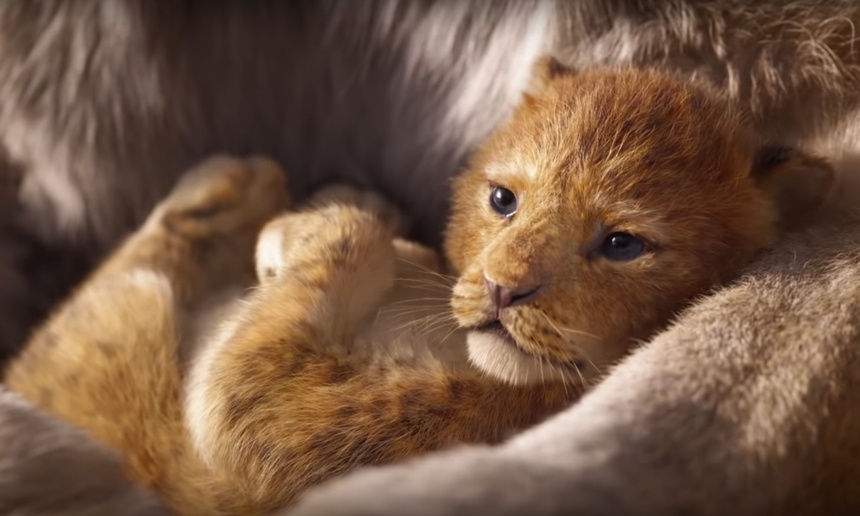 Sorties à la maison : The Lion King