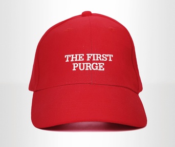 Affiche du film The First Purge