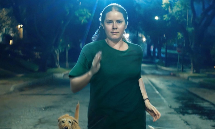 Sortie à surveiller : Nightbitch avec Amy Adams