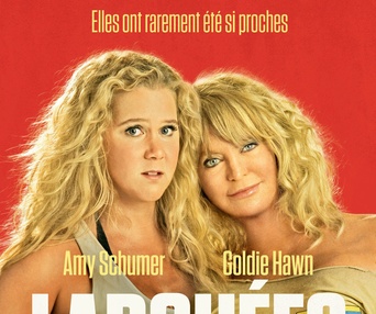 Affiche du film Snatched