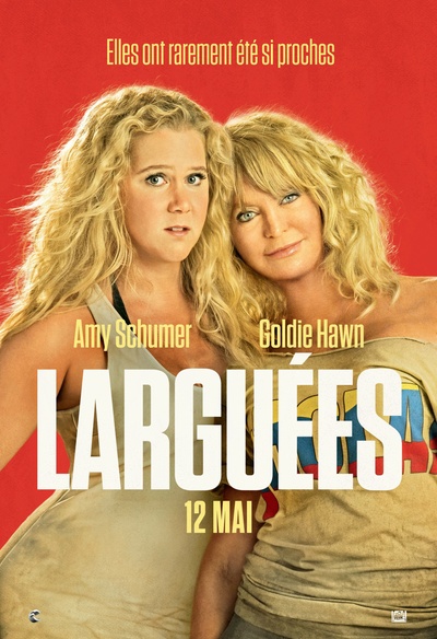 Affiche du film Snatched