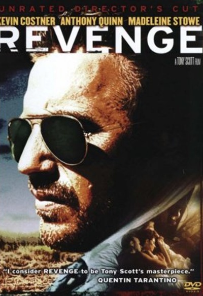 Affiche du film Revenge