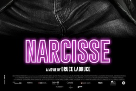 Affiche du film Saint-Narcisse