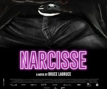 Affiche du film Saint-Narcisse