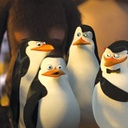 Une scène du film Madagascar