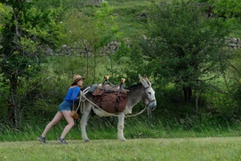Une scène du film Antoinette dans les Cévennes Une scène du film Antoinette dans les Cévennes