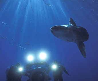 Sous les mers du monde en 3D