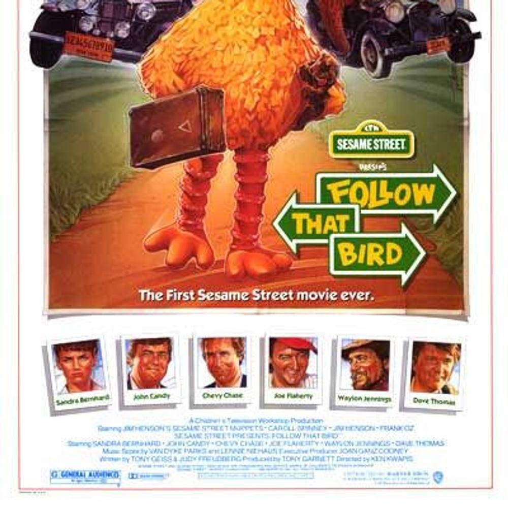 Affiche du film Follow That Bird