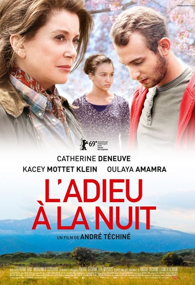 Affiche du film L'adieu à la nuit