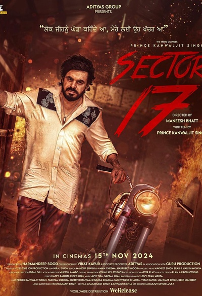 Affiche du film Sector 17