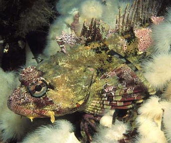 Sous les mers du monde en 3D