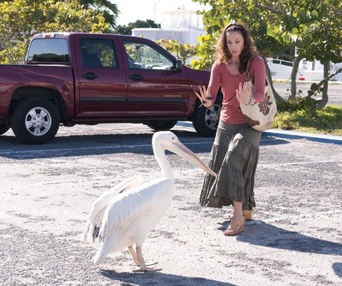 Une scène du film Dolphin Tale