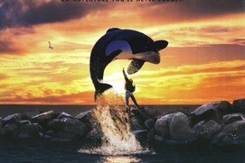 Affiche du film Free Willy Affiche du film Free Willy