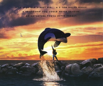 Affiche du film Free Willy