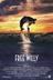 Affiche du film Mon ami Willy