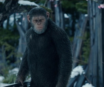 Une scène du film War for the Planet of the Apes