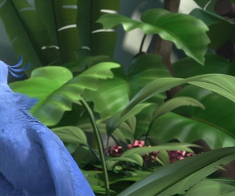 Une scène du film Rio