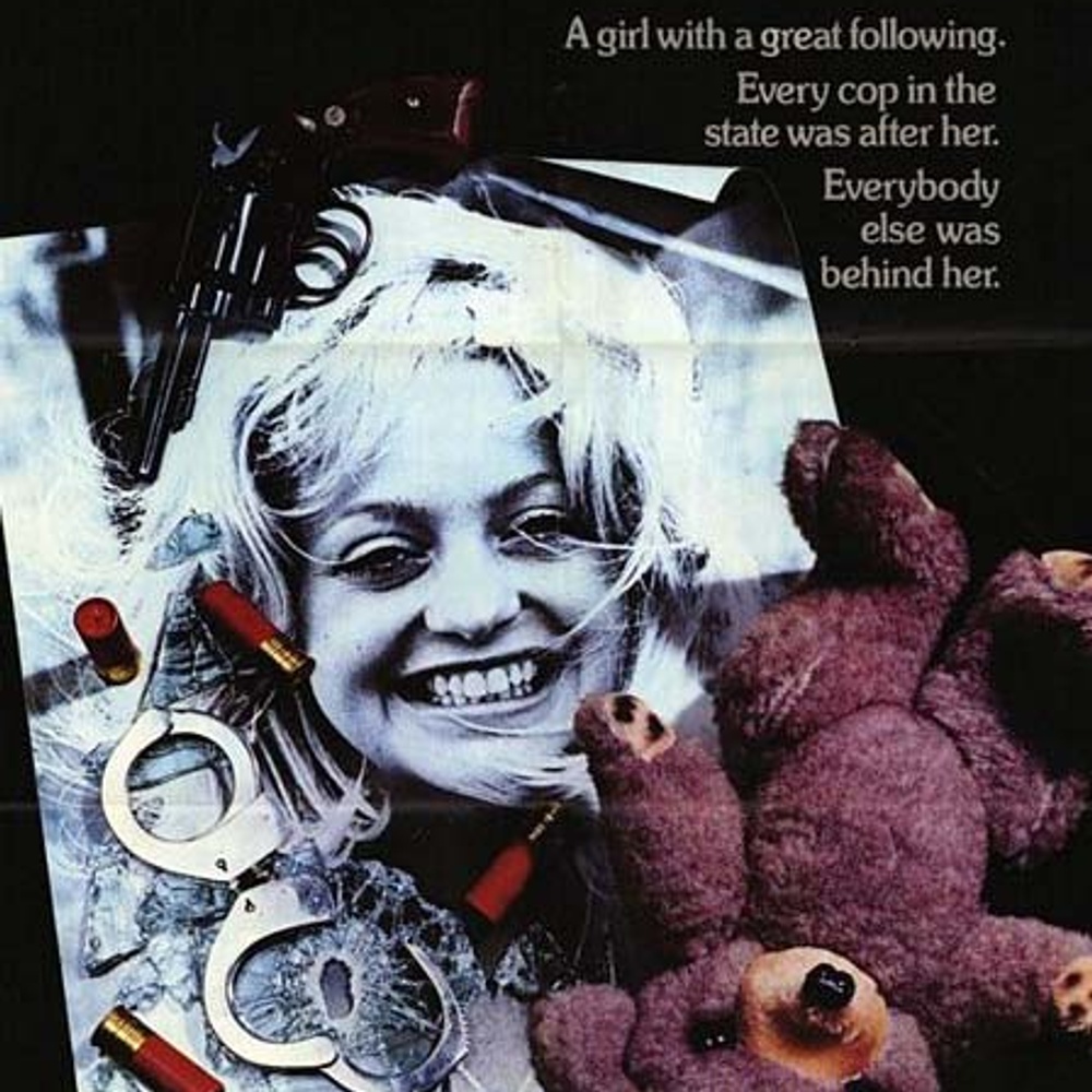 Affiche du film The Sugarland Express