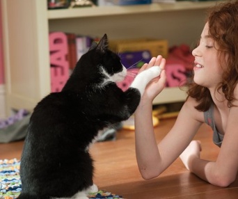 Une scène du film Judy Moody and the Not Bummer Summer