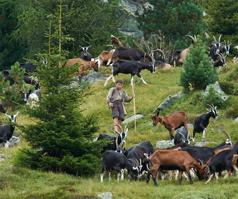 Une scène du film Heidi