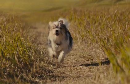 Bande-annonce en français